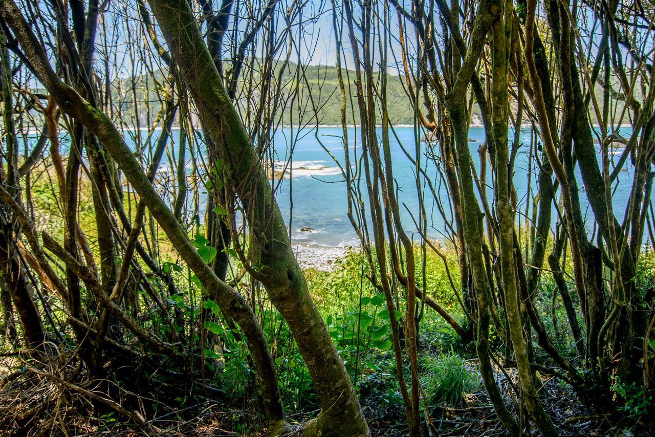 Vertientes De Pumillahue, Chiloe Villa Dış mekan fotoğraf